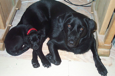 Miles and Puppy Marla