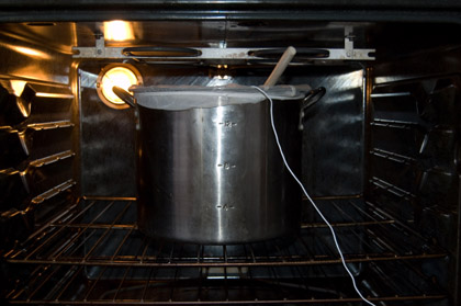 Mash tun in the oven, wooden spoon and probe wire for thermometer all sticking out.